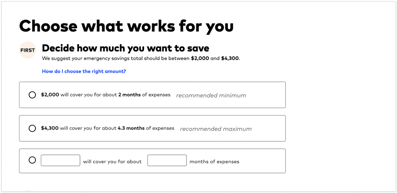 Screenshot of the Rainy Day Tool with the headline “First, decide how much you want to save.” The user can choose to save the recommended minimum or maximum amounts or enter a custom amount.