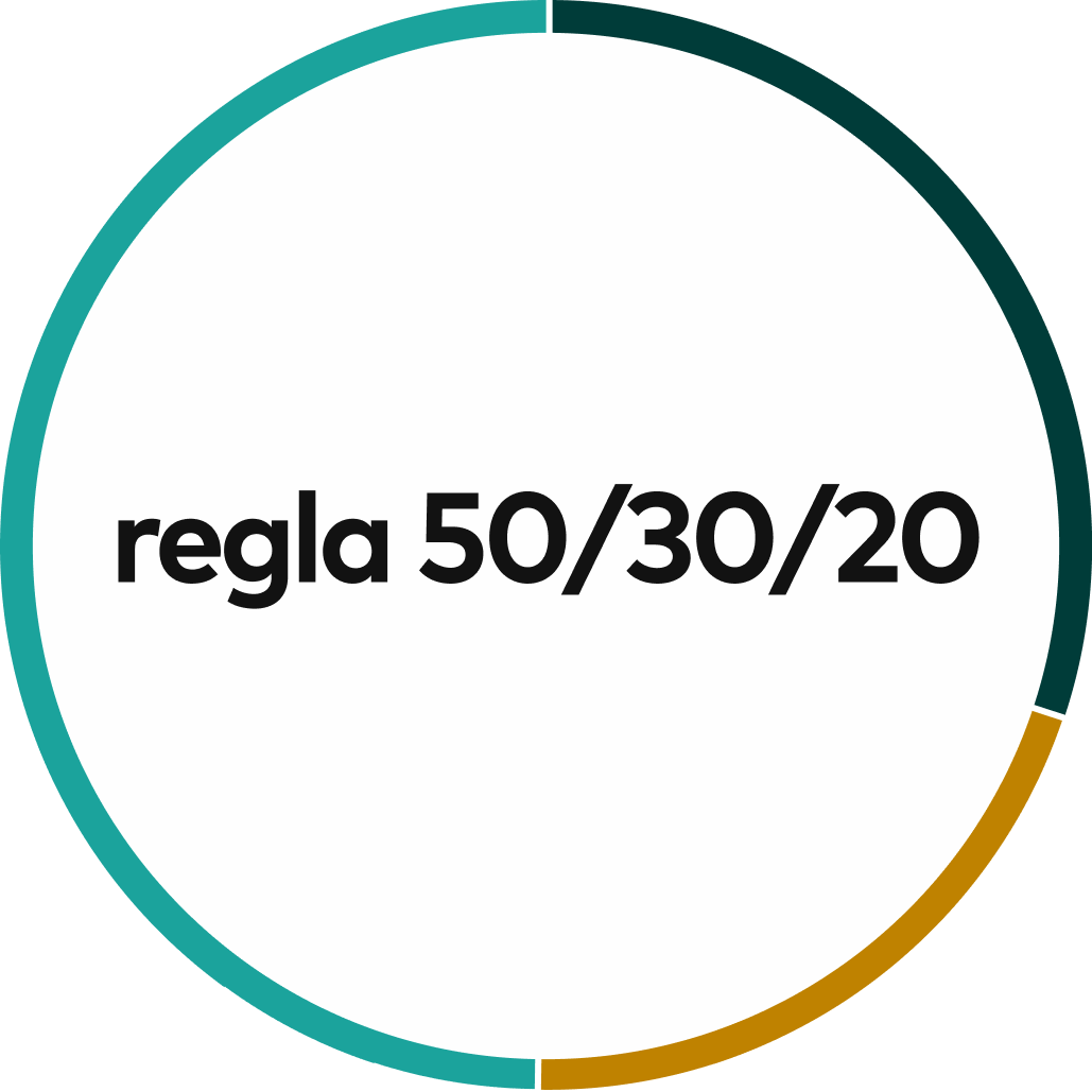 50_30_20_rule